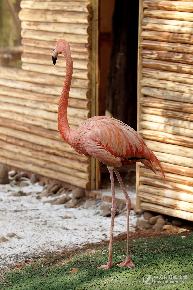 昆明圆通山随拍