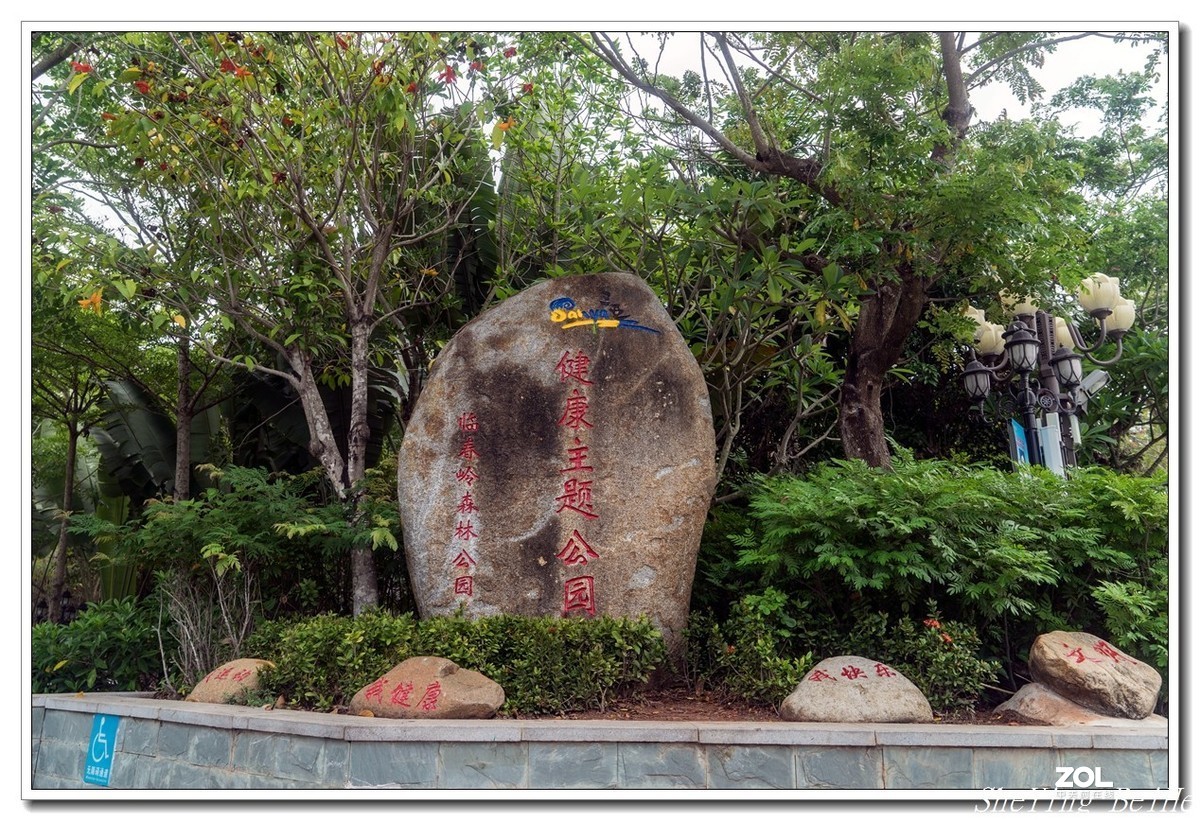 三亚临春岭森林公园   -续