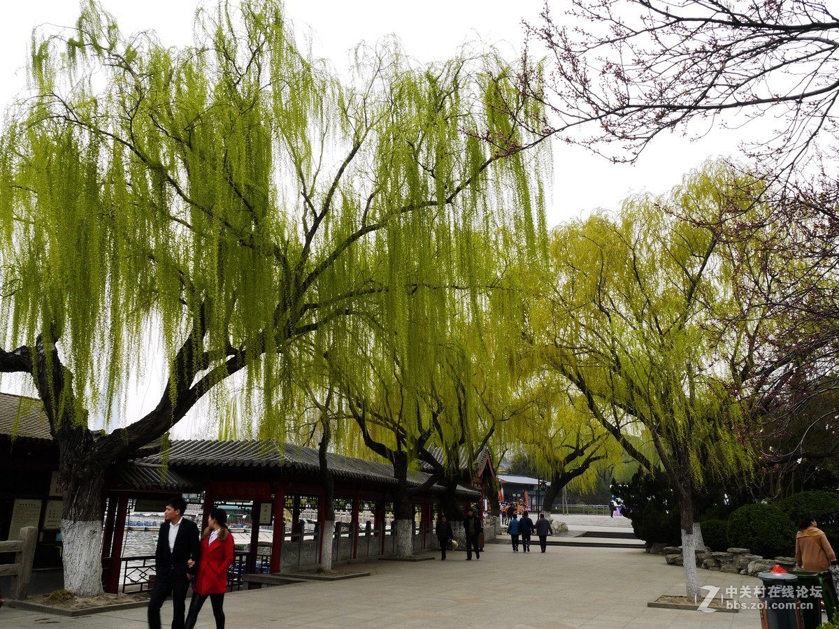 闲着没事，学学简单后期，请大家指点