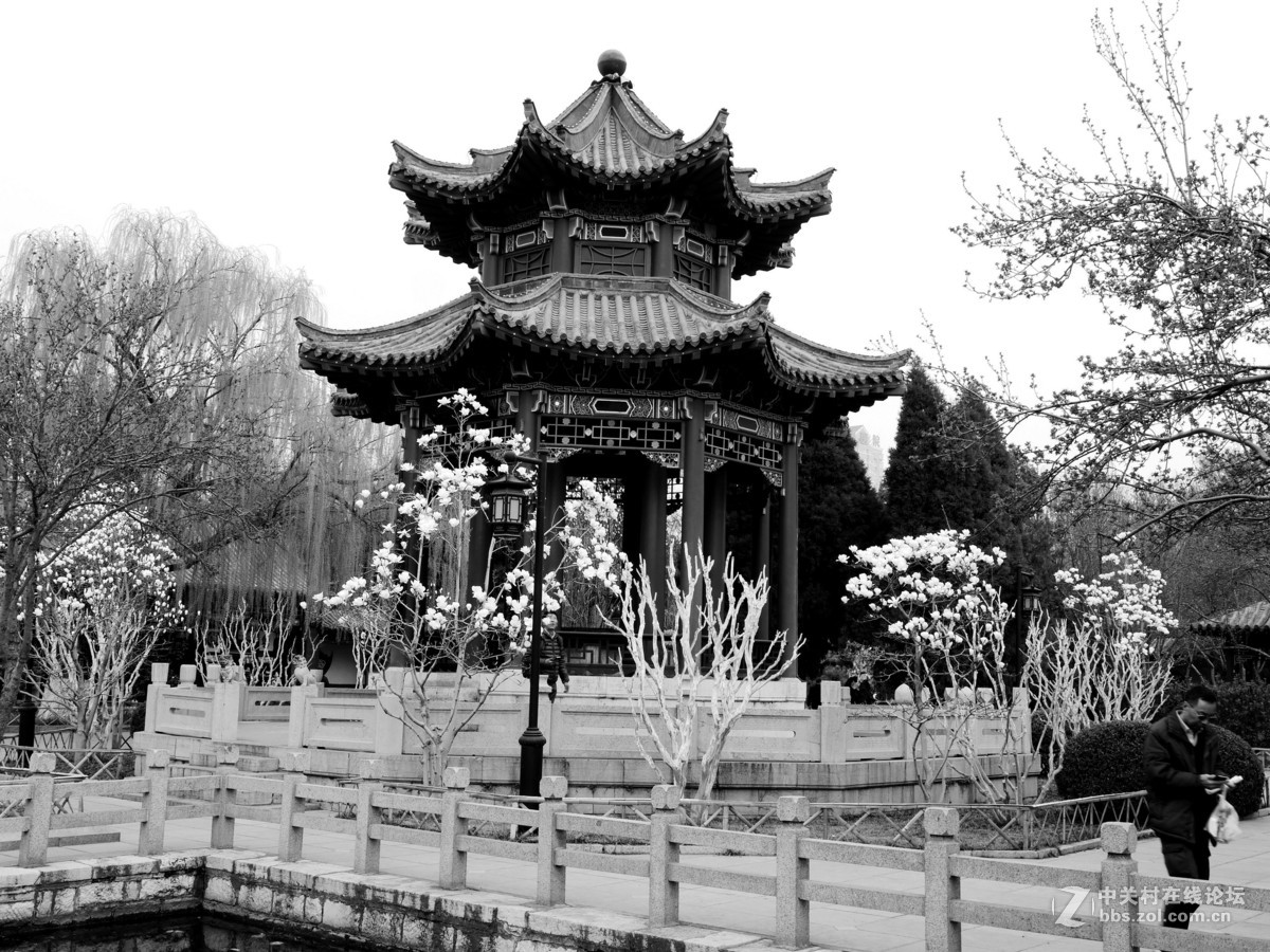 闲着没事，学学简单后期，请大家指点