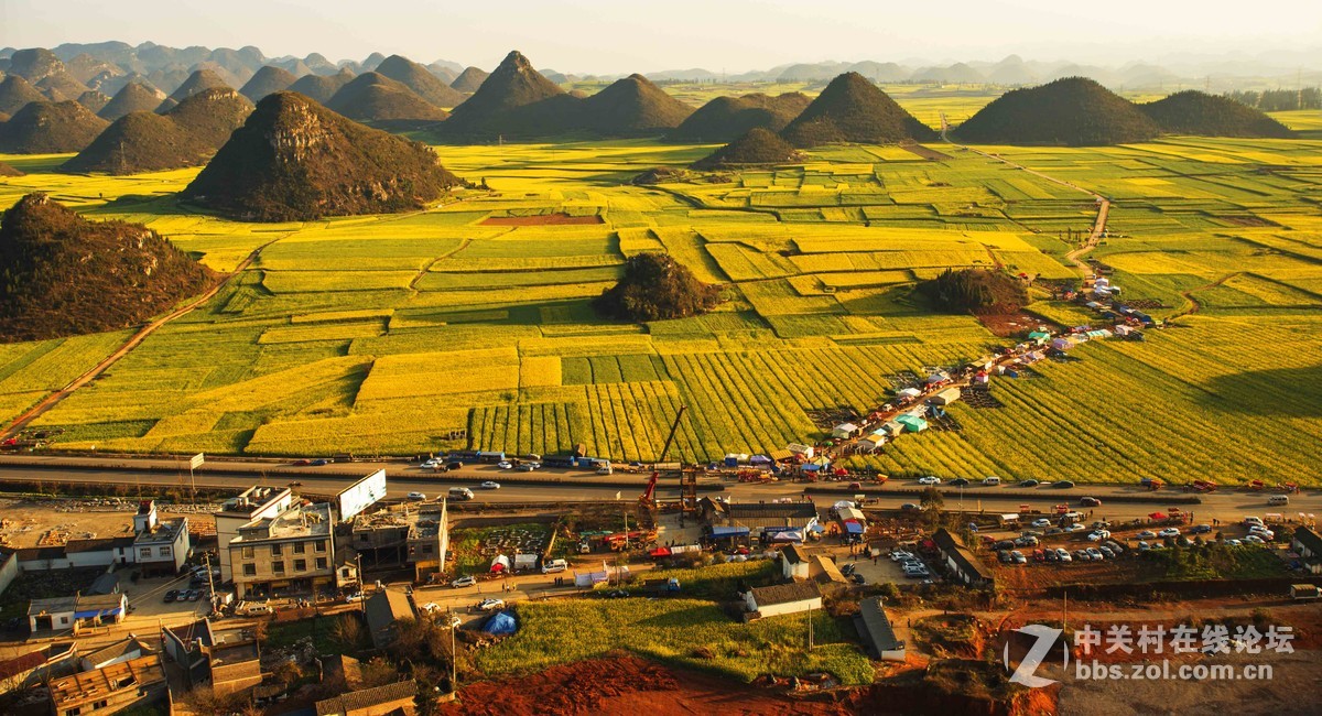 云南罗平油菜花