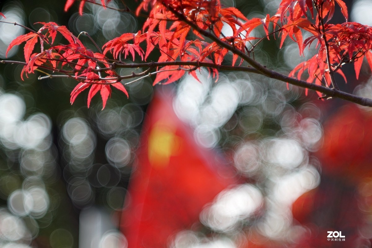 五星红旗我为你自豪！