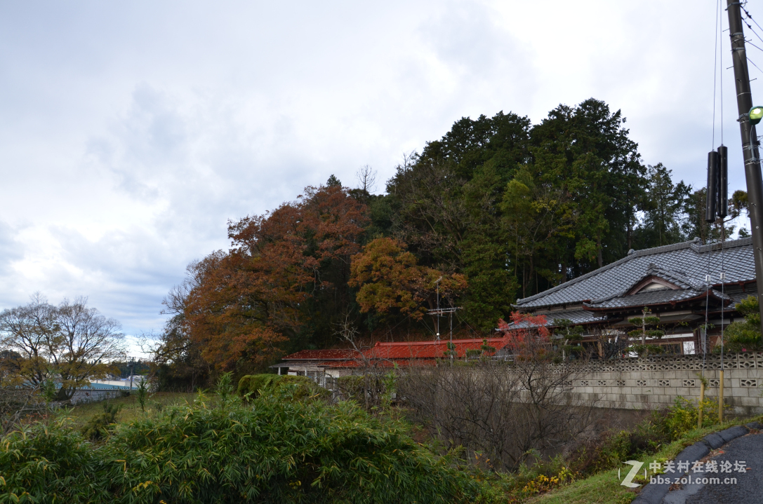 新婚日本本州蜜月之旅