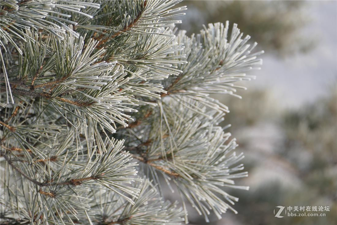 TYP114试用多图（不学版主打苍蝇咱打老虎呵呵）欢迎拍砖！！！