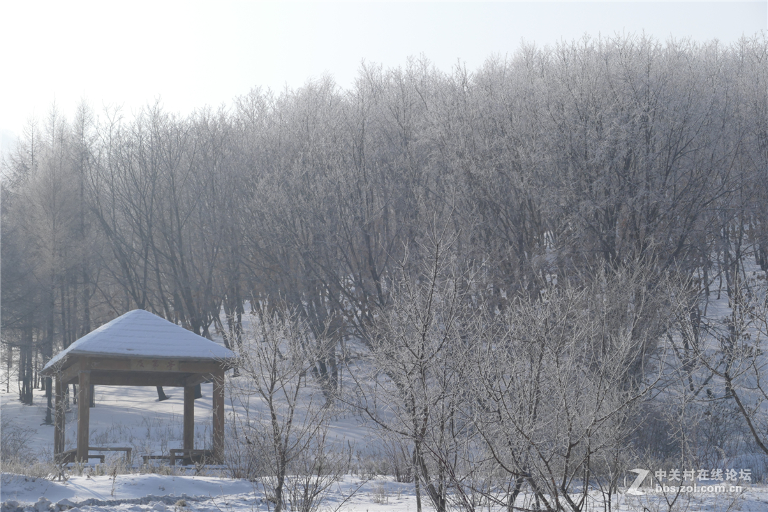 TYP114试用多图（不学版主打苍蝇咱打老虎呵呵）欢迎拍砖！！！