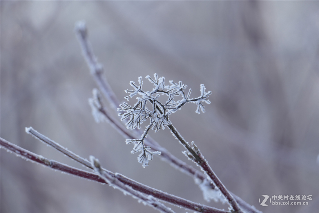 TYP114试用多图（不学版主打苍蝇咱打老虎呵呵）欢迎拍砖！！！