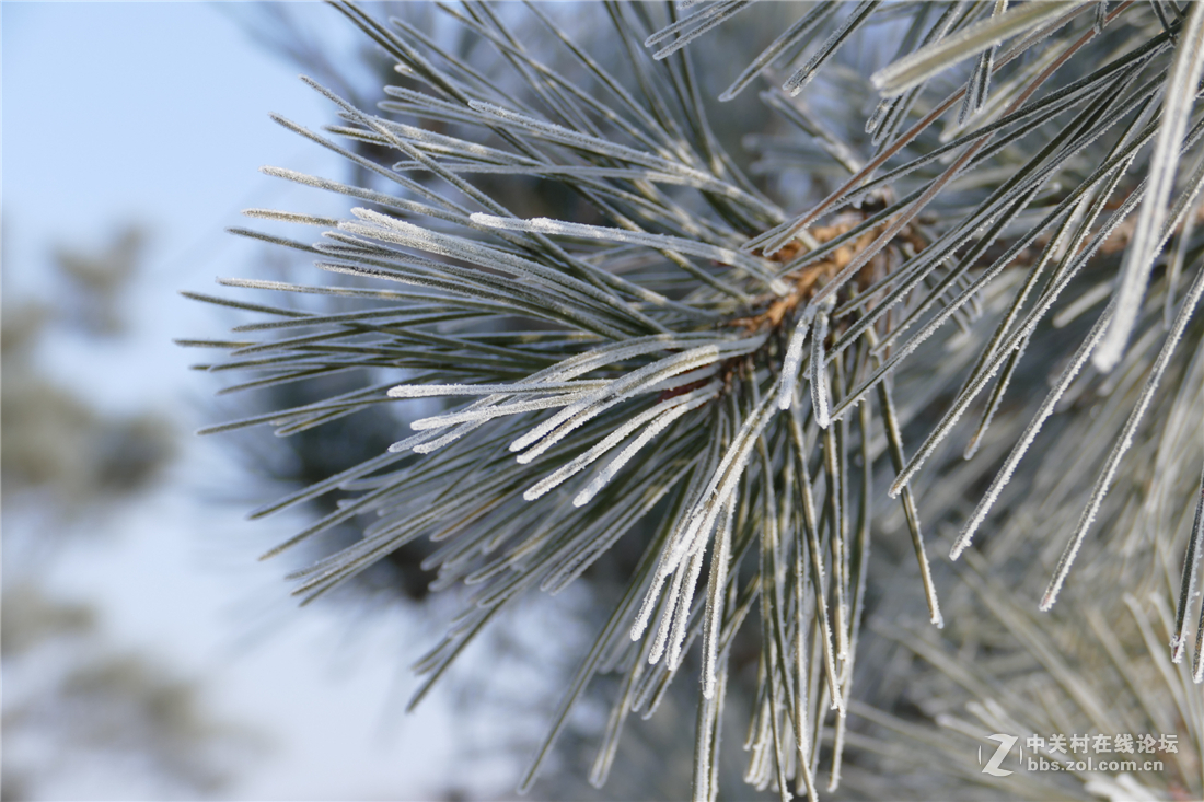 TYP114试用多图（不学版主打苍蝇咱打老虎呵呵）欢迎拍砖！！！