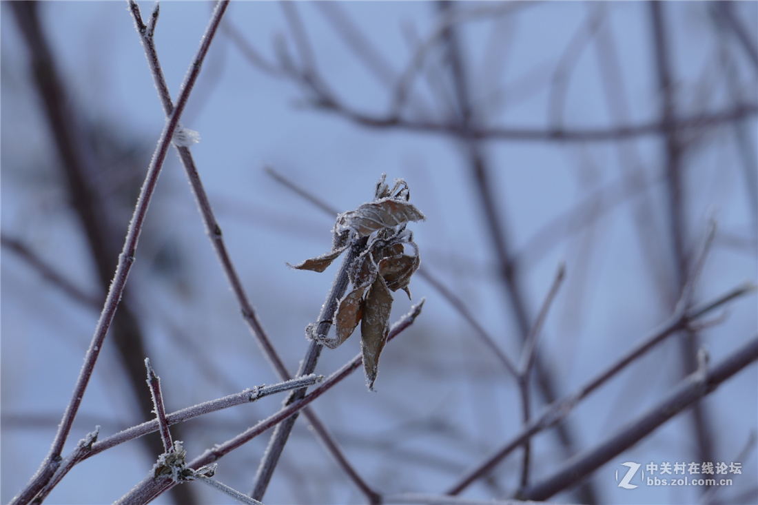 TYP114试用多图（不学版主打苍蝇咱打老虎呵呵）欢迎拍砖！！！