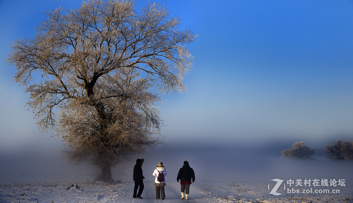 神奇而美丽风景线——雾凇岛