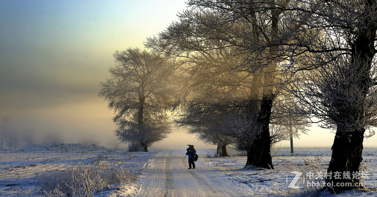 神奇而美丽风景线——雾凇岛