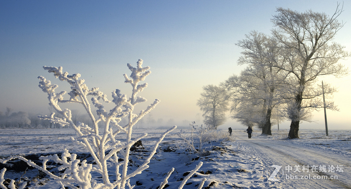 神奇而美丽风景线——雾凇岛