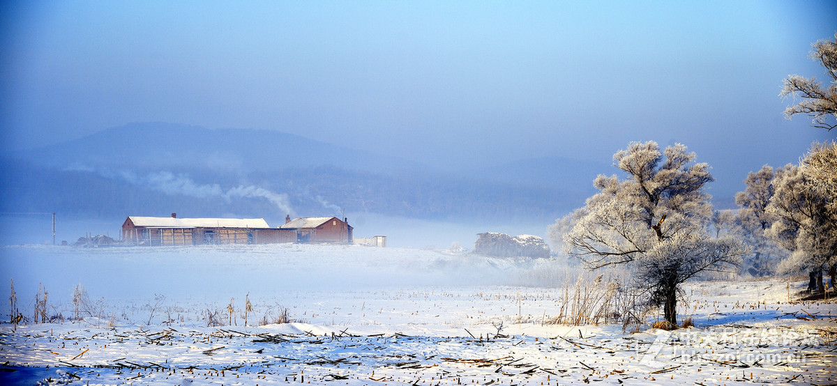 神奇而美丽风景线——雾凇岛