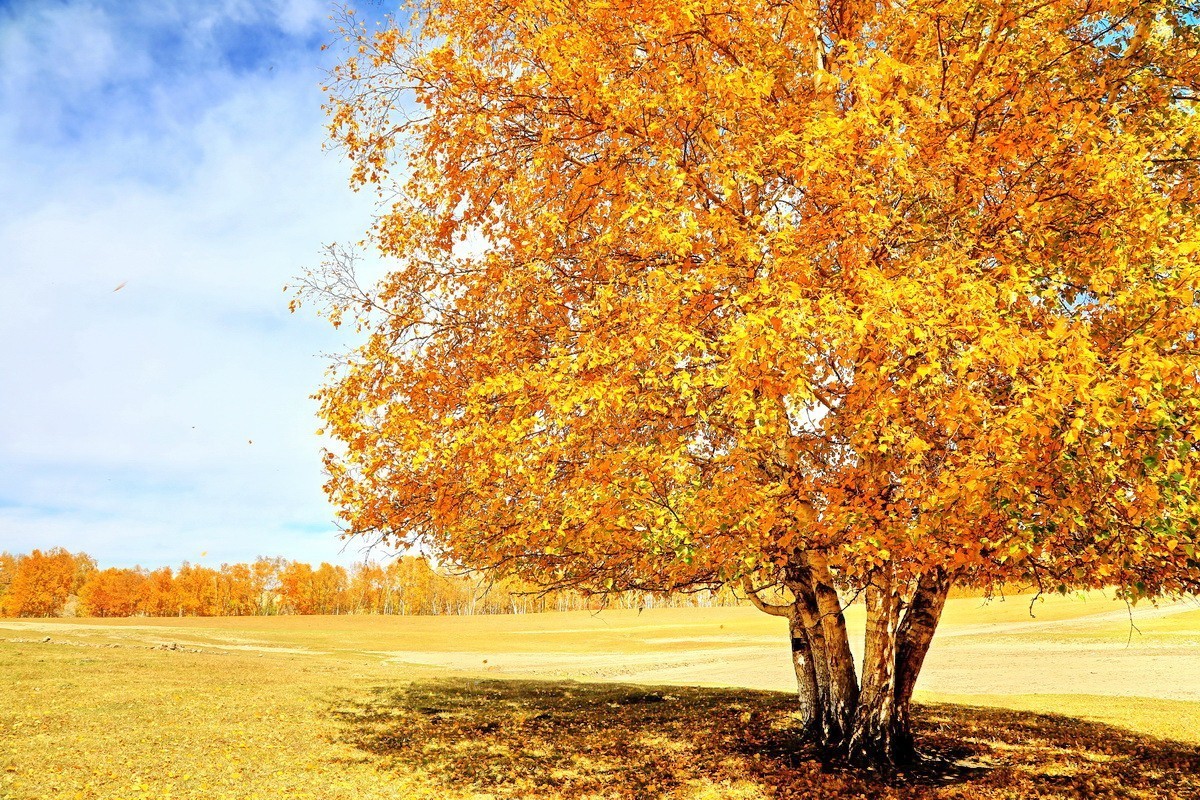 #大摄影佳# 自驾车穿越乌兰布统，欣赏沿途美景。