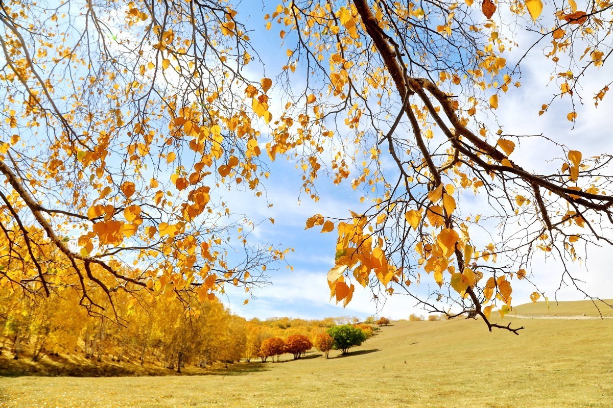 #大摄影佳# 自驾车穿越乌兰布统，欣赏沿途美景。