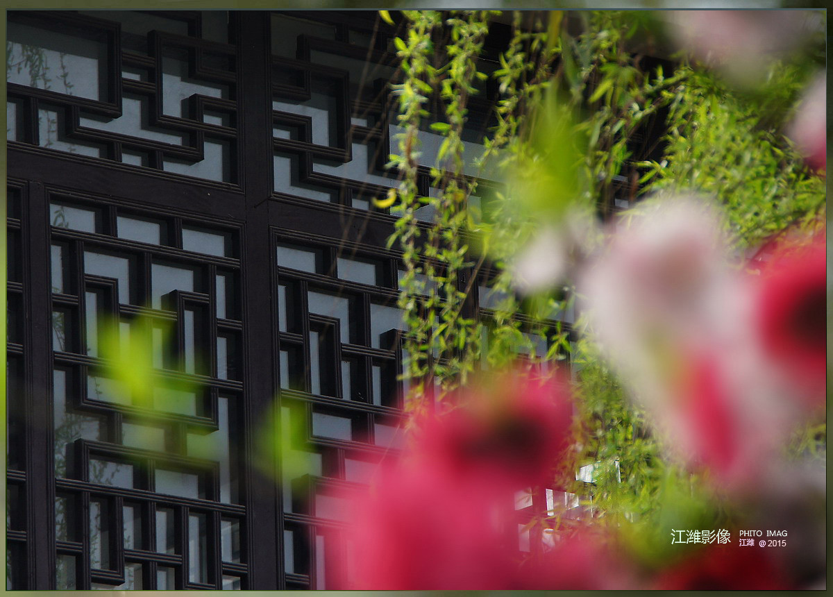 茶窗柳绿碧桃红——6P