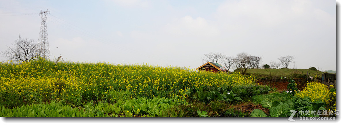玩玩剪裁后的片片