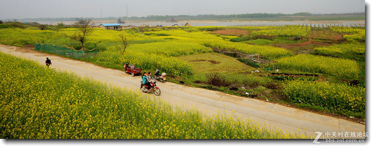 玩玩剪裁后的片片
