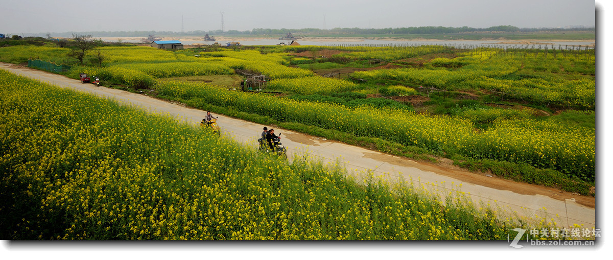 玩玩剪裁后的片片