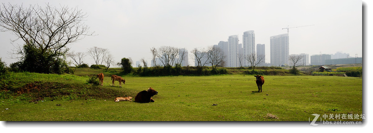 玩玩剪裁后的片片