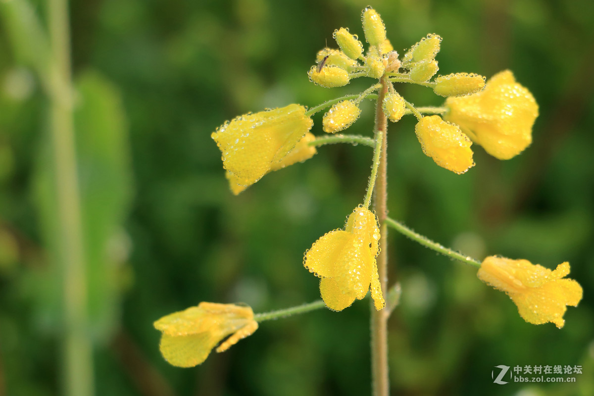 70Ｄ　18－135套机拍的几张图