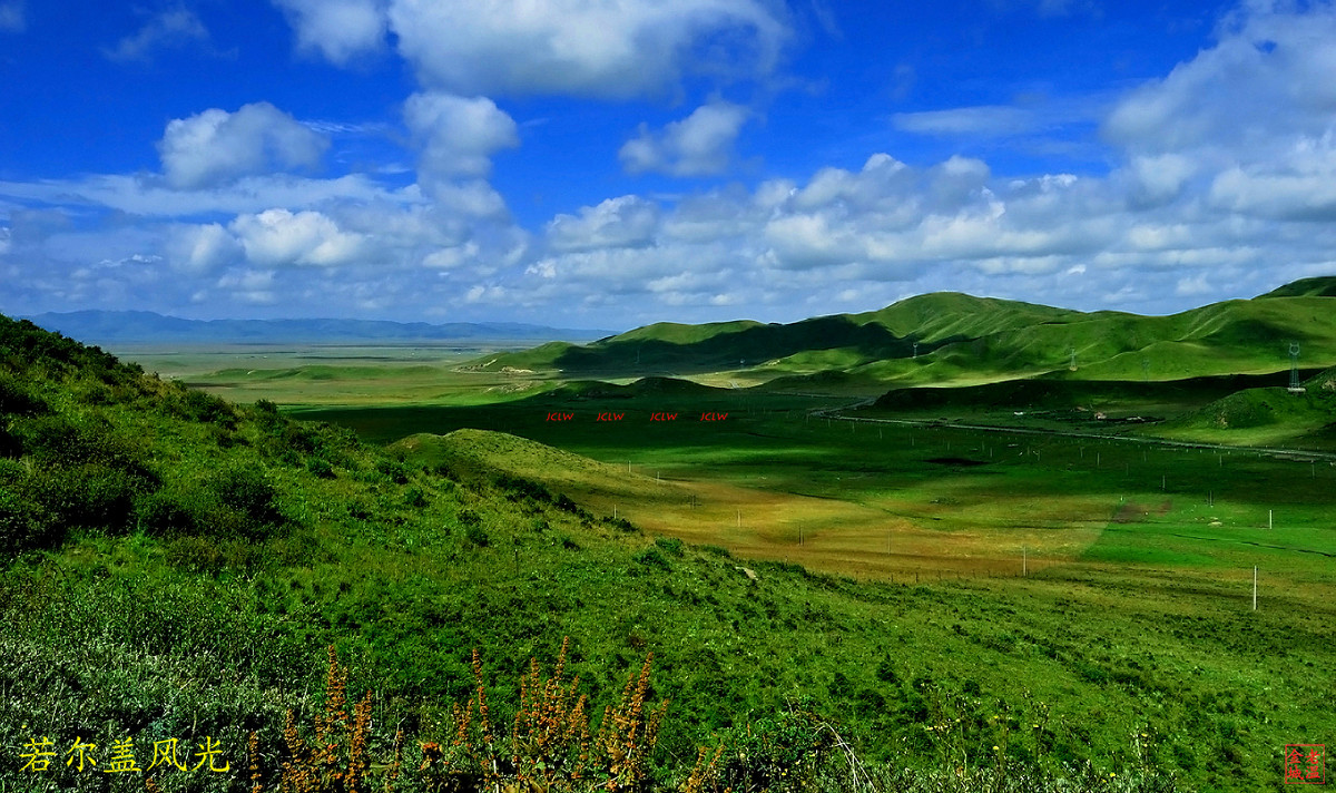 若尔盖风光