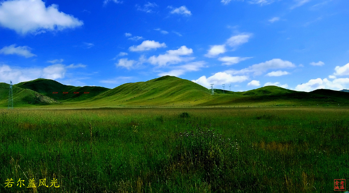 若尔盖风光