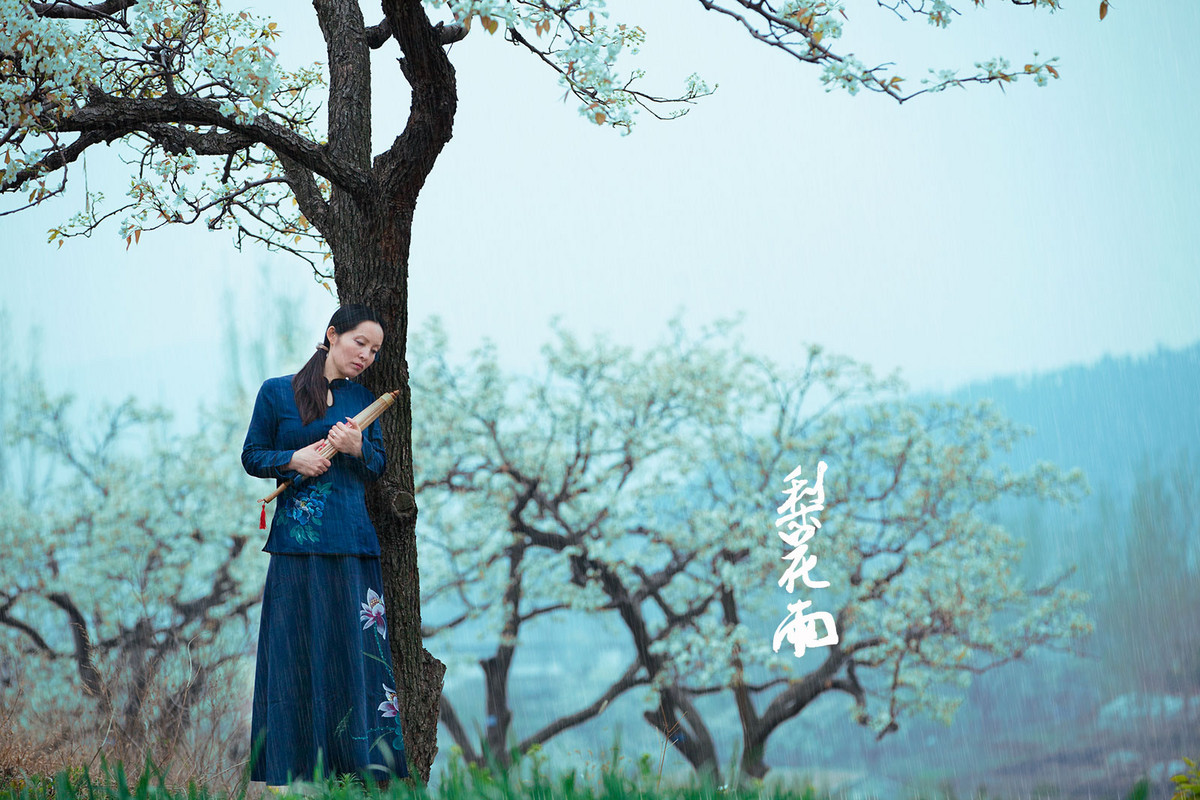 梨花雨-中关村在线摄影论坛