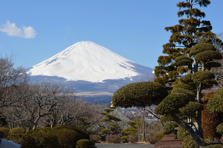 #一个春节，一台相机#富士山
