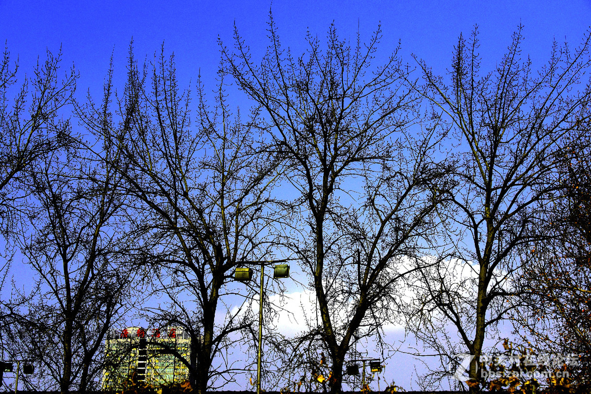 D750+16-35mm /F4试照扫街