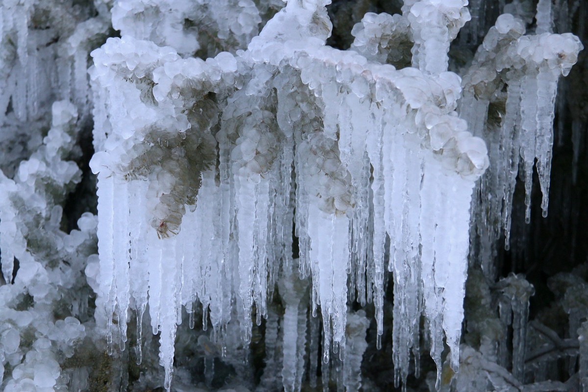 今天随拍一组长白山雪雕，雪景