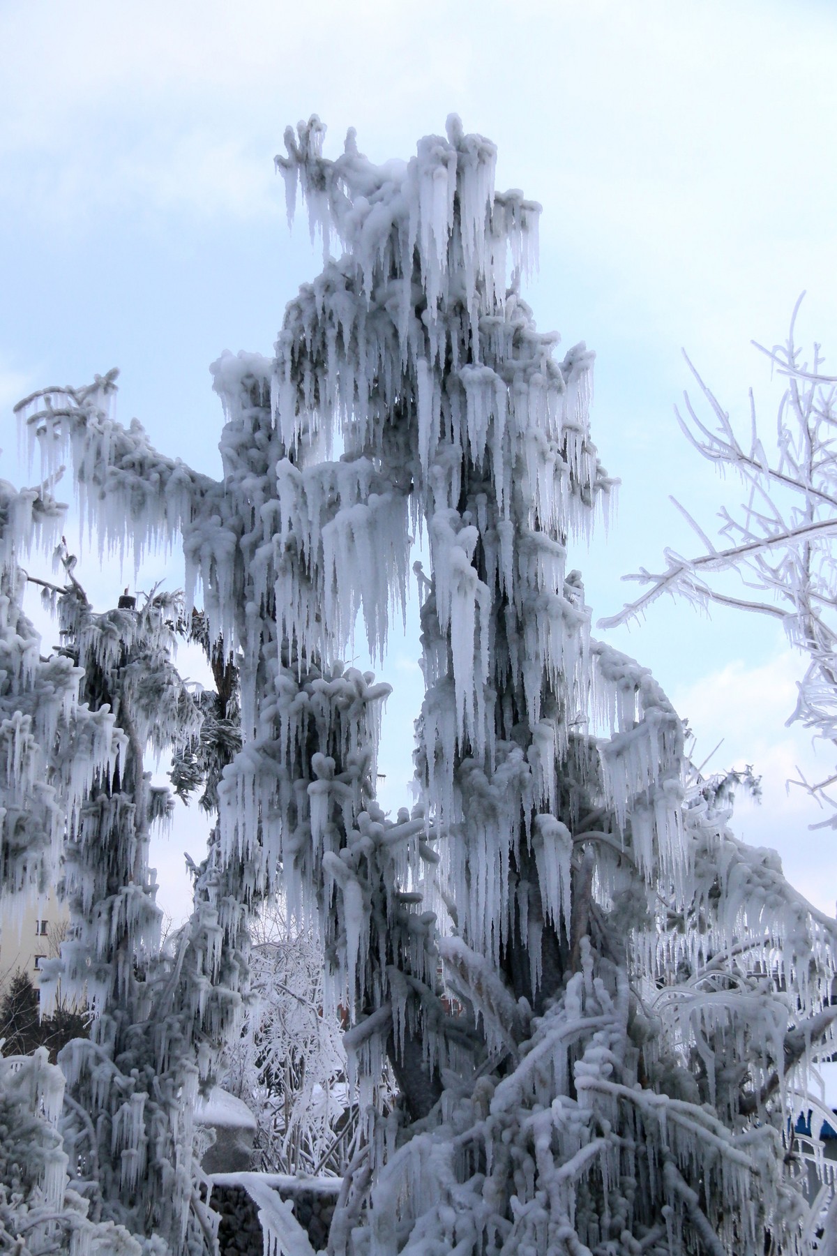 今天随拍一组长白山雪雕，雪景