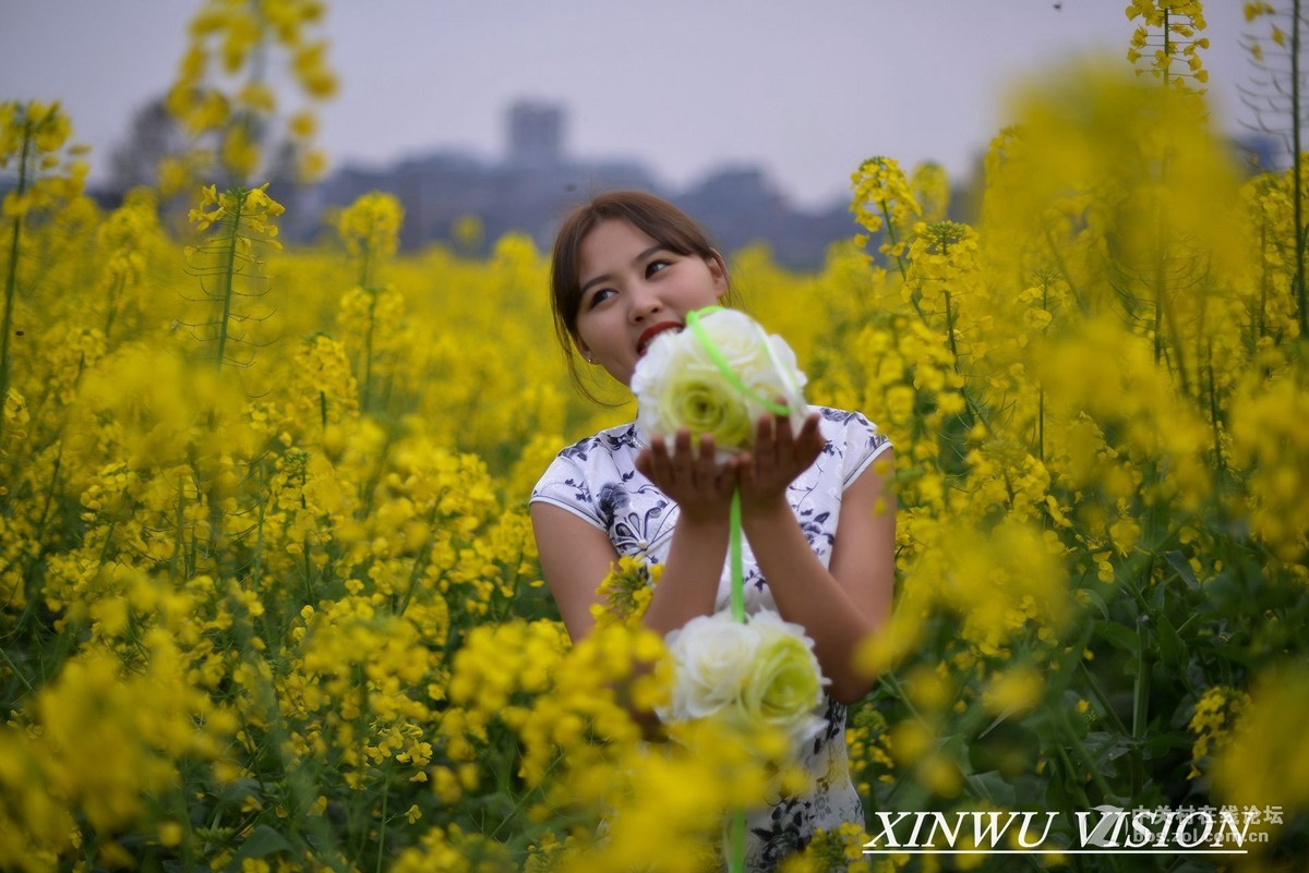 小雯油菜花人像（D800+50 1.4)
