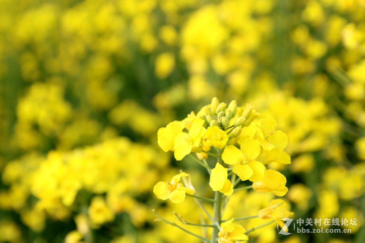 #回家#过年的本质——常回家看看