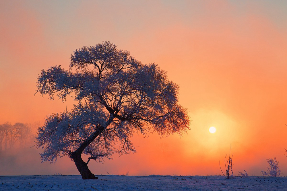 #版主坐堂# 佳能月度精选-2015年1月份优秀作品选编