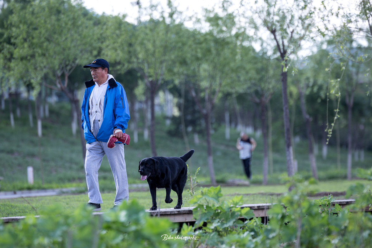 穿秋裤脱秋裤在穿秋裤过后的北京美景