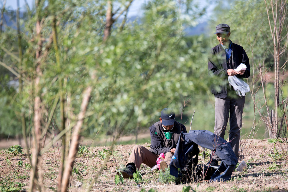 穿秋裤脱秋裤在穿秋裤过后的北京美景