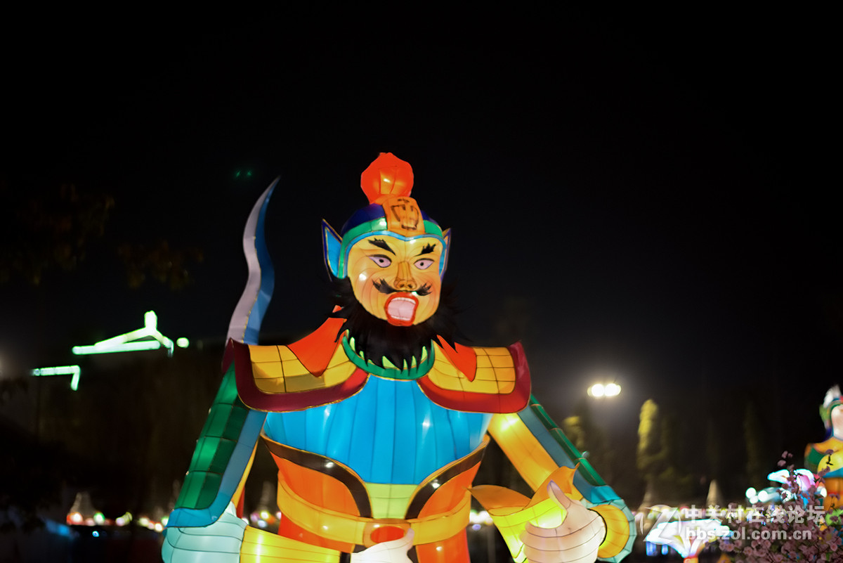 游拍成都2015武侯祠大庙会