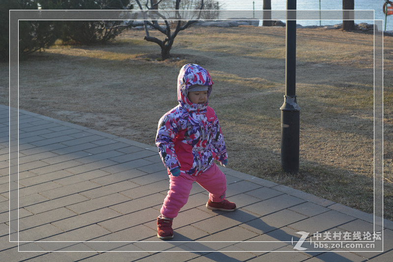 #一个春节，一台相机#记录“她”的2015