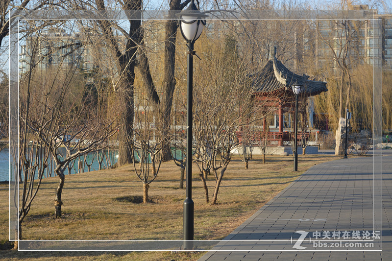 #一个春节，一台相机#记录“她”的2015