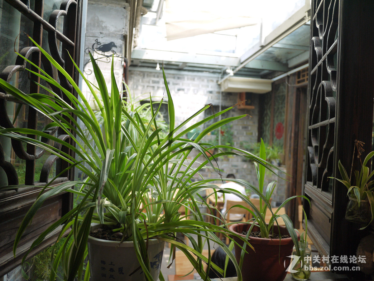 8月游江苏  直出