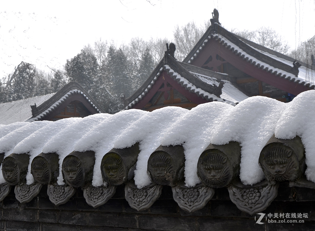 瑞雪迎春-中关村在线摄影论坛
