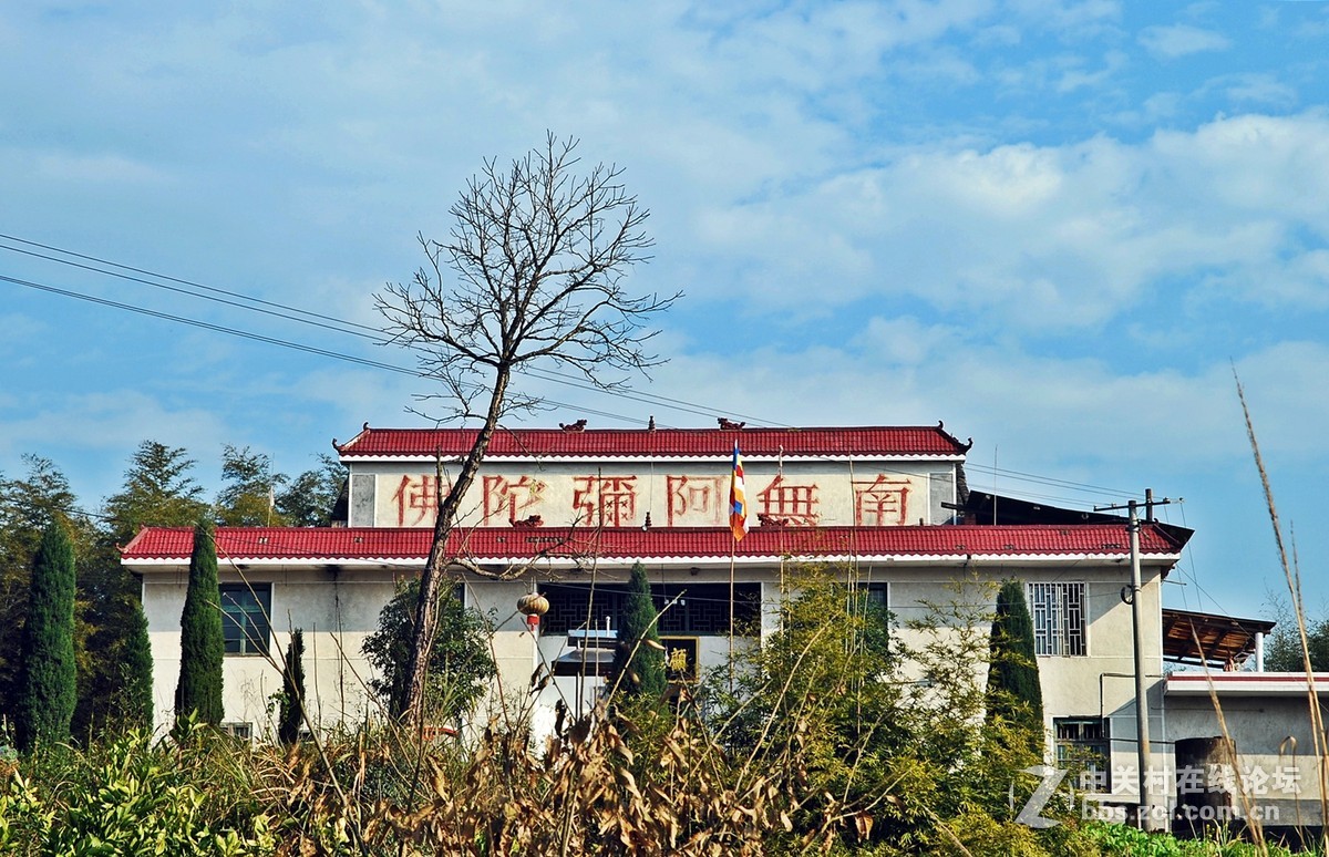 #寻找尼康镜头中的最美中国#郊游随拍