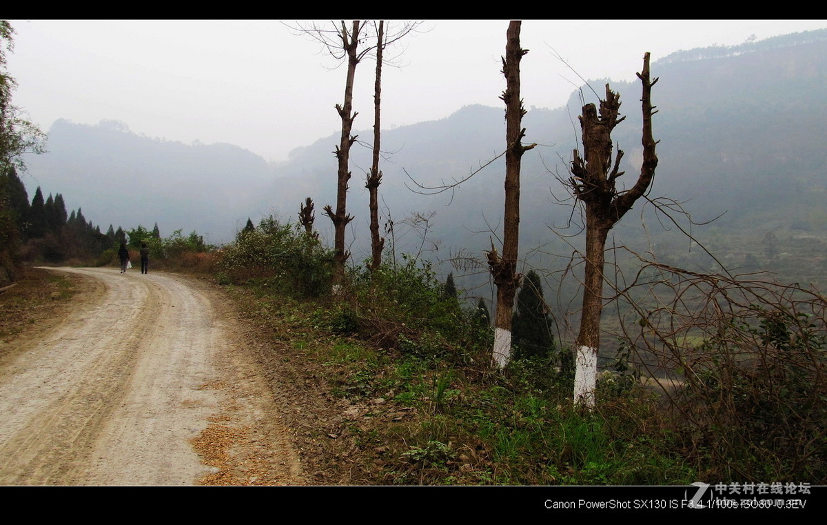 故乡！故乡.......