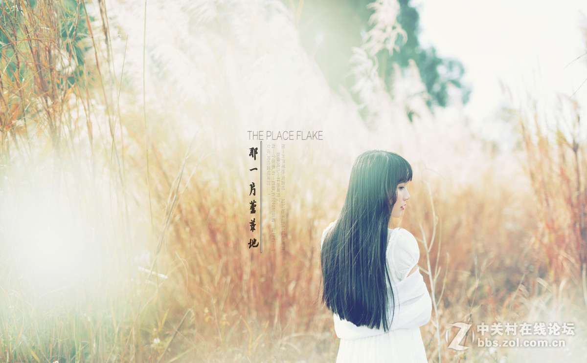 适马50mm f/1.4 DG HSM{那一片芦苇地.....人像}