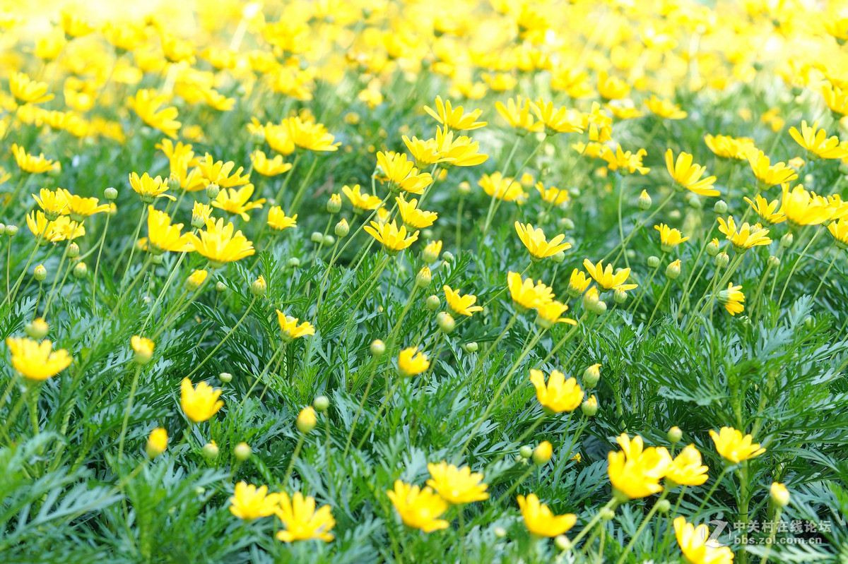 昆明圆通山随拍