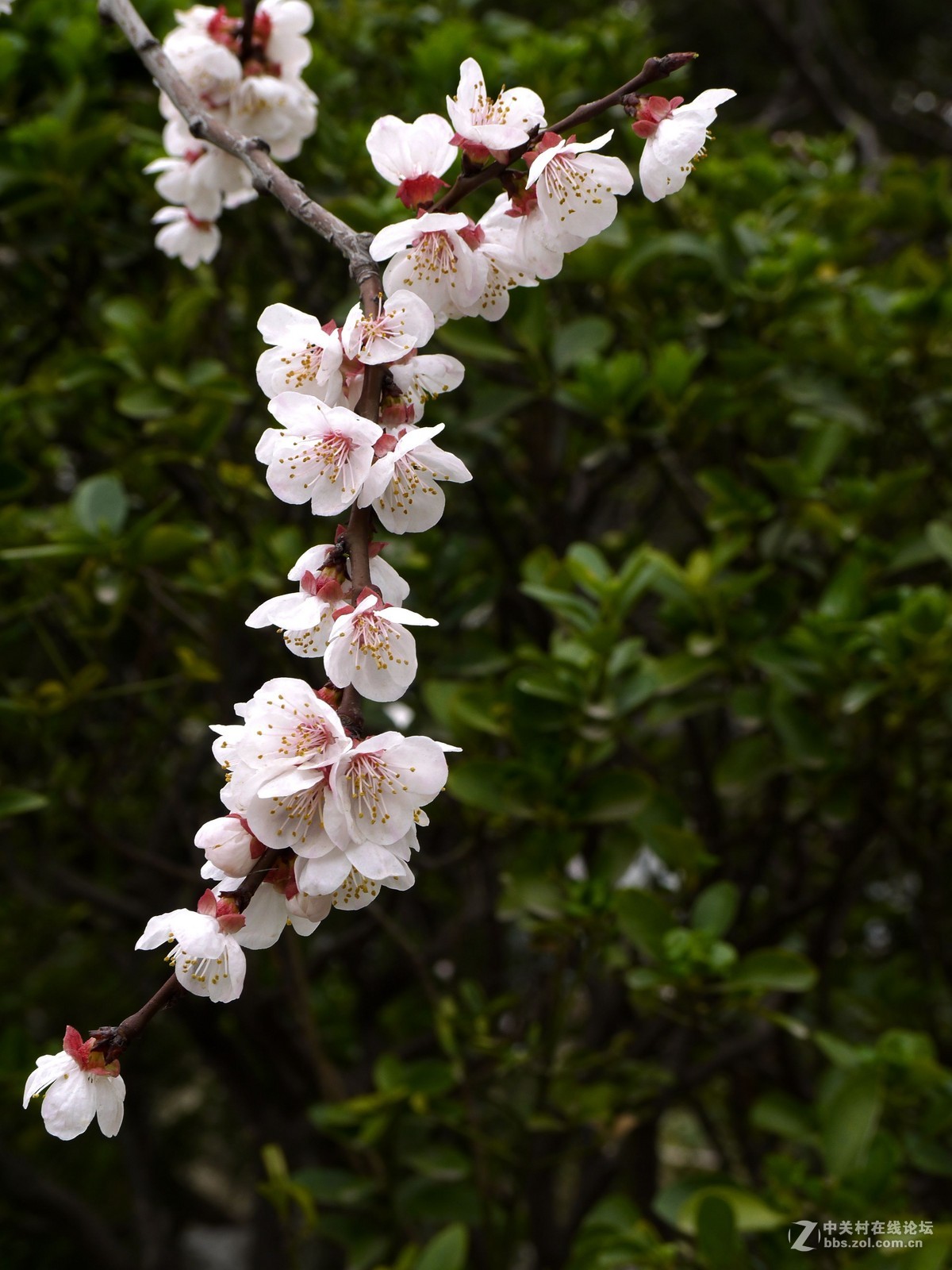 闲着没事，学学简单后期，请大家指点