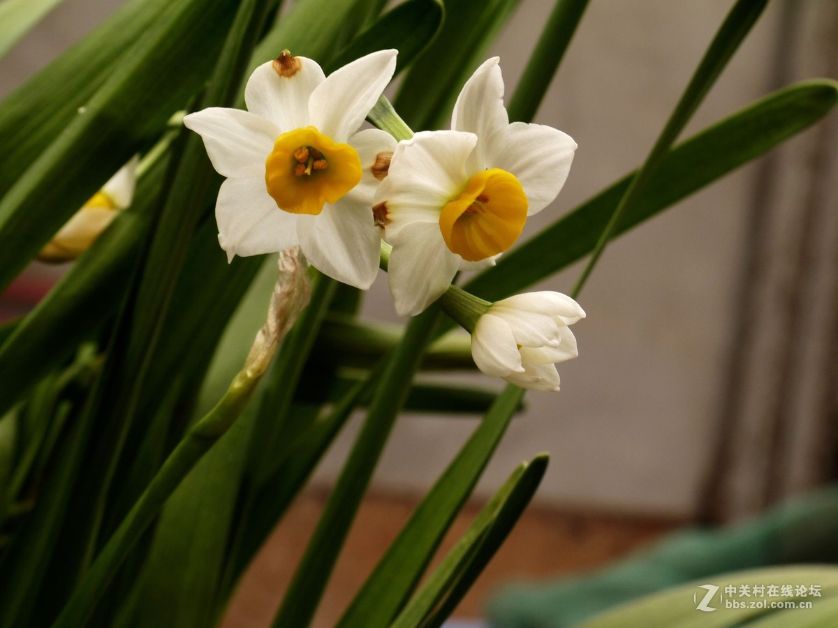 闲着没事，学学简单后期，请大家指点