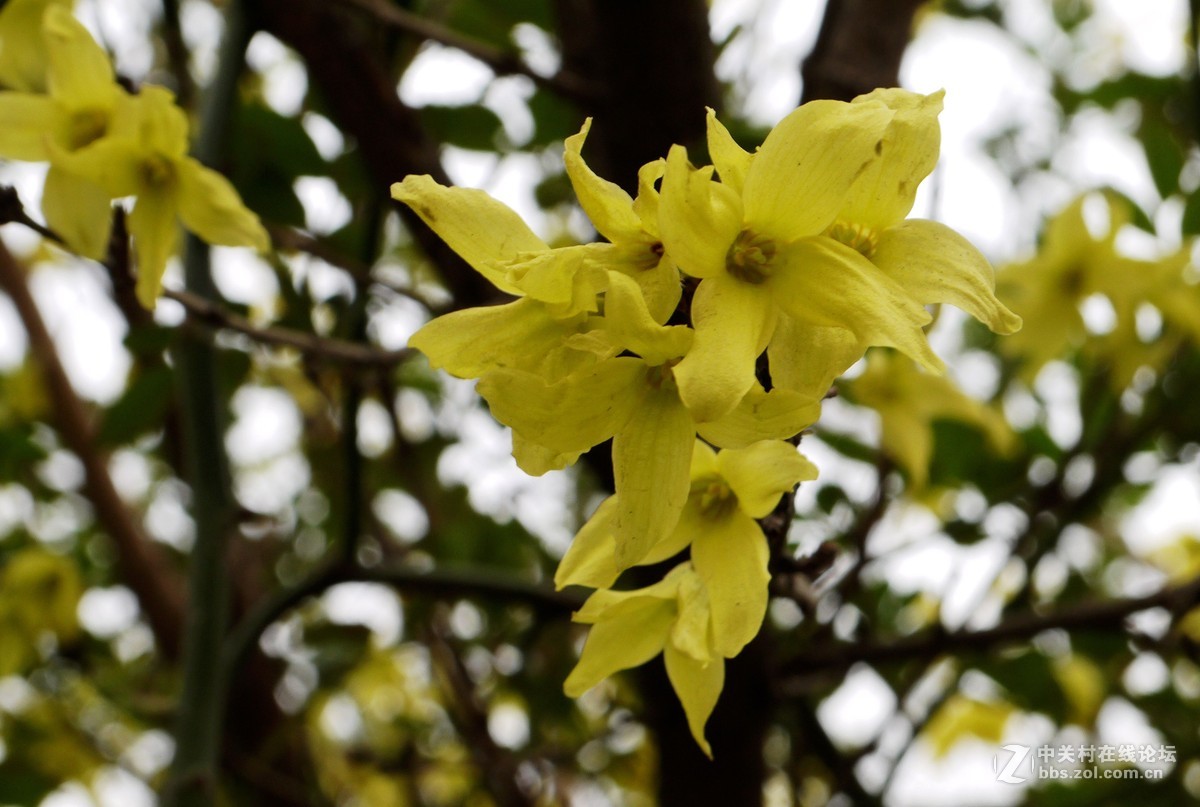 闲着没事，学学简单后期，请大家指点