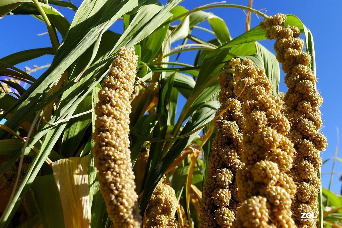 国庆第五日骑行记录：孙庄子乡-虸蚄口村