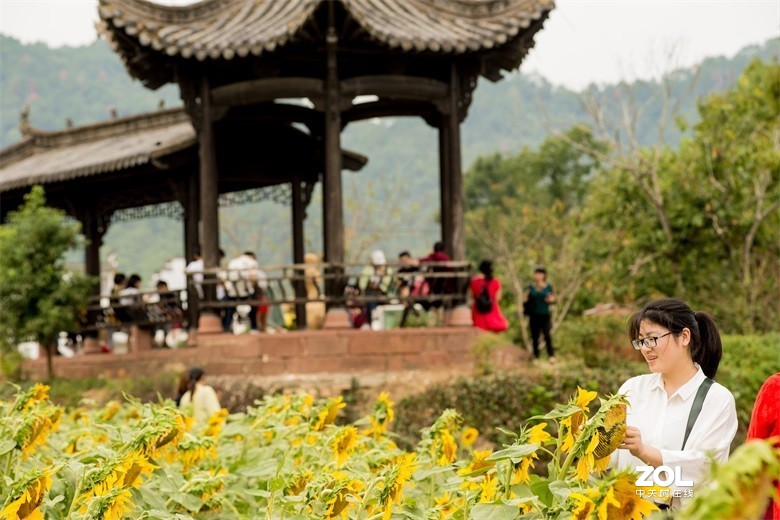 欢迎批评，欢迎指教！！！